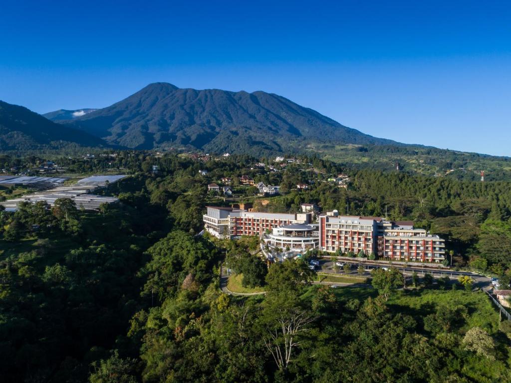 ✨ اكتشف سحر إندونيسيا… حيث الطبيعة تأسر قلبك والتجارب لا تُنسى!